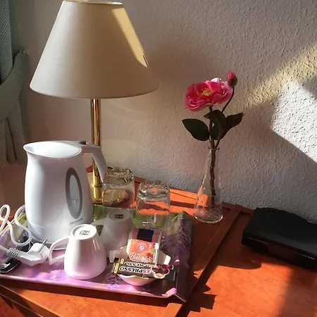 Haus Heinrich Heine * Ilsenburg (Harz)