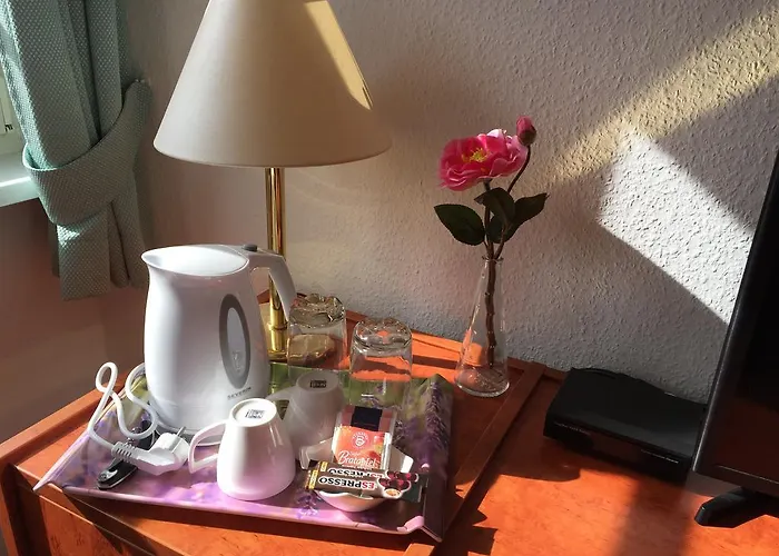 Haus Heinrich Heine * Ilsenburg